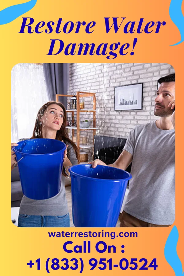 water restoration Master Water Works Specialists Lake Ivanhoe