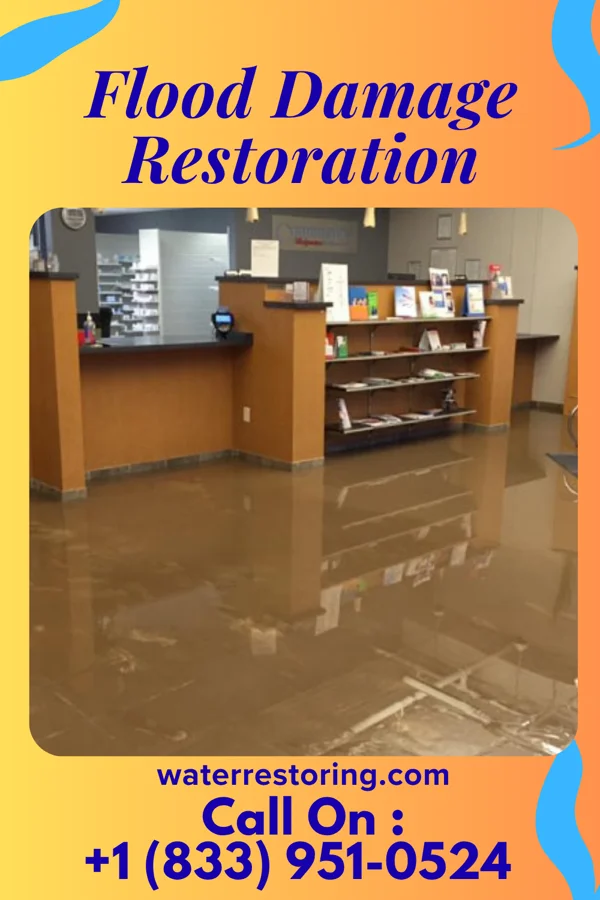 Flood Damage Restoration in Lake Ivanhoe, WI