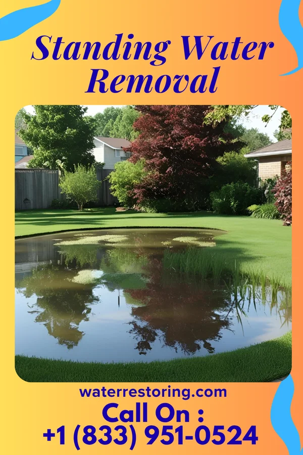 Standing Water Removal in Lake Ivanhoe, WI